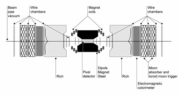 The BTeV Detector