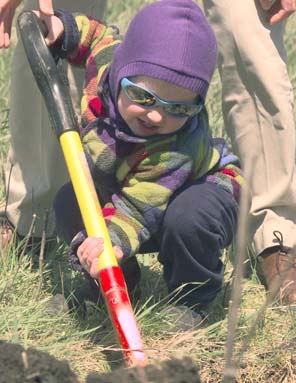 Planting a tree is a treat for everyone-and so is a hot dog lunch, even on a chilly day.