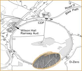 A grove of invasive cottonwood trees has disturbed the prairie restoration in the circled area of Fermilabs main accelerator ring.