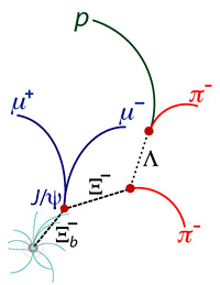 In 2007, the CDF and DZero collaborations had back-to-back discoveries of the cascade b-baryon, which is made of a down, a strange and a bottom quark